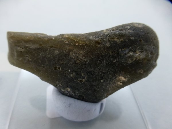 Darwin Glass.