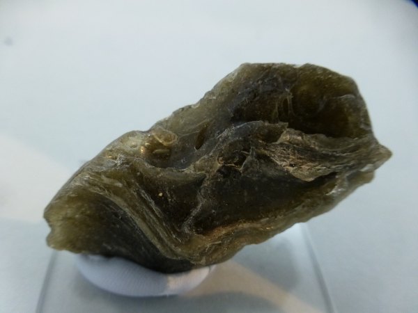 Darwin Glass.