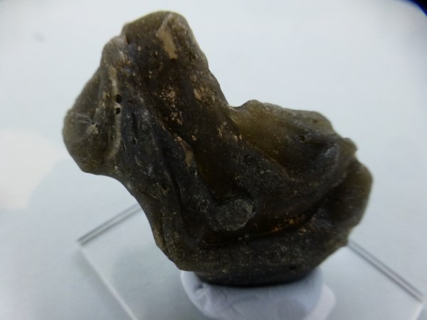 Darwin Glass.