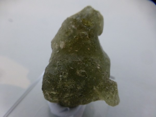 Darwin Glass.