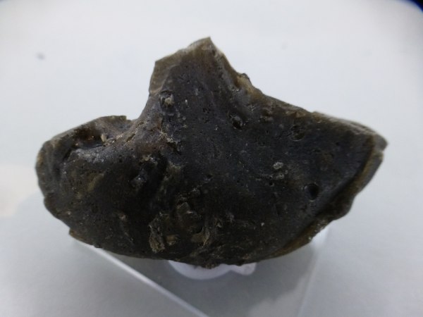 Darwin Glass.