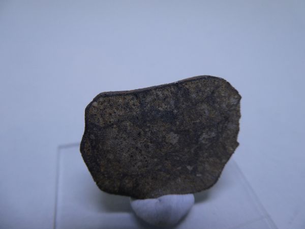 Wiluna slice.