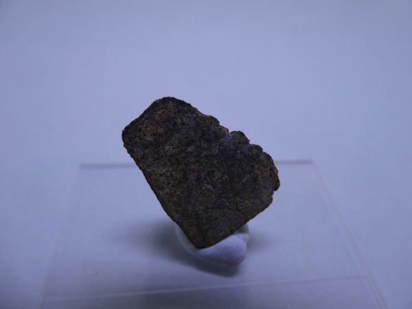 Wiluna endcut.