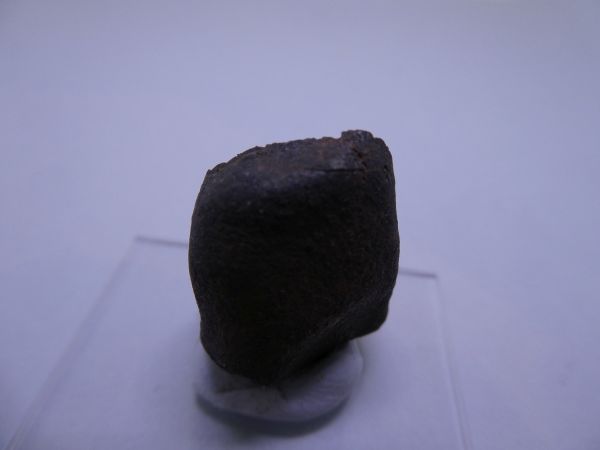 Wiluna.