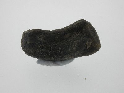 Darwin Glass Impactite