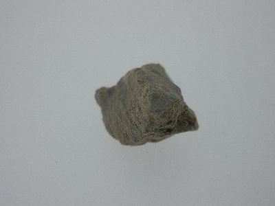 K/T Boundary Clay.