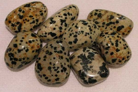 Dalmation Stone
