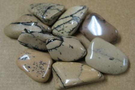 Ivory Jasper