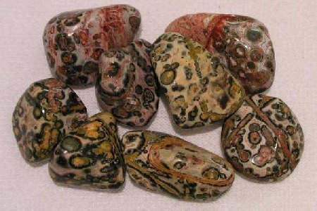 Leopardskin Jasper
