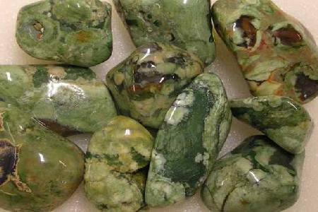 Rainforest Jasper
