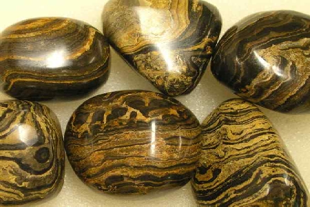 Stromatolite