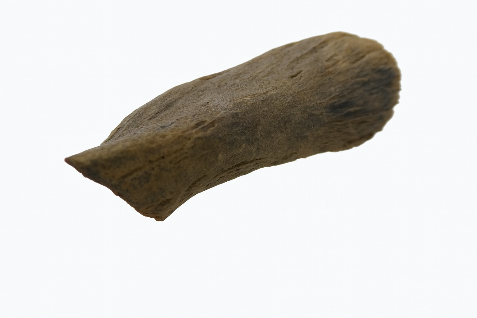 Raptor Bone.