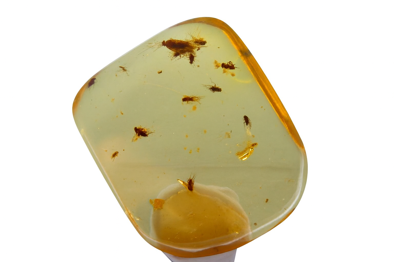 Colombian Amber