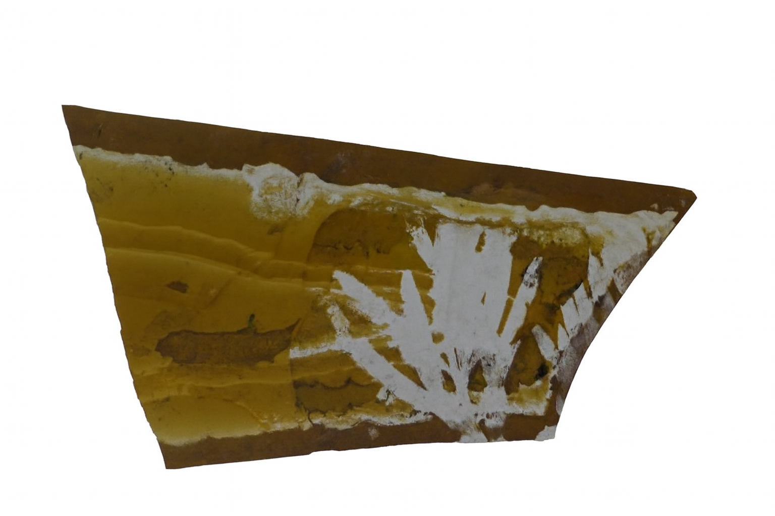 Leaf and Fish
