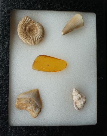 Mini Collection 01.