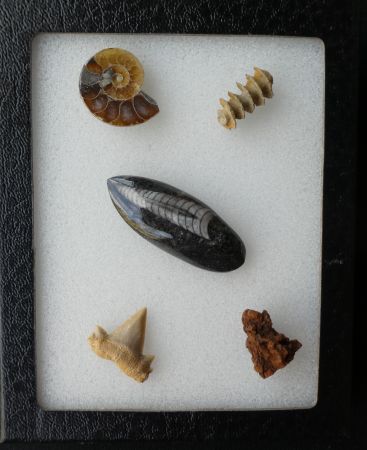 Mini Collection 02.