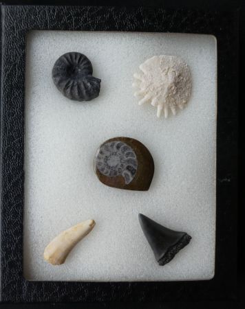 Mini Collection 03.