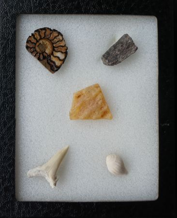Mini Collection 04.